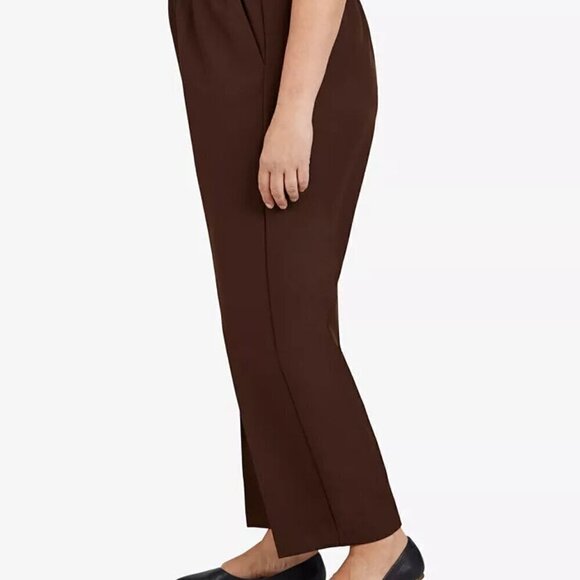 Alfred Dunner Women Plus Size Classic Pull-On Straight-Leg Pant Brown 18W SMALL - Picture 3 of 5